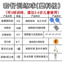 悬浮式视力纠正器眼力练球仪自练神器近视家用 乒乓球训练器儿童 6个E球+20训练线+6挂钩+2球拍