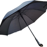 24骨雨伞超大号长柄伞男女学生晴雨双人伞男士商务雨伞女士防晒伞 小号8骨-经典黑
