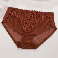 蕾丝无痕内衣女士新款小胸专用无钢圈聚拢高档胸罩提胸文胸防下垂 内裤[单件装]颜色随机 32/70(AB通杯)