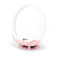 日光化妆镜台式LED灯补光镜子梳妆小夜灯可爱女生日礼物蓝牙音箱 粉色