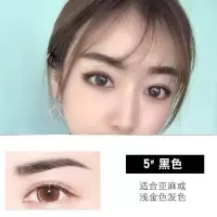 四叉眉笔韩国彩妆防水防汗不掉色自然仿真李佳琦眉笔 05自然黑(单只)