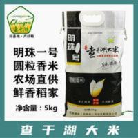 新米大米10斤东北大米圆粒香珍珠米寿司米查干湖大米明珠一号5kg 5kg