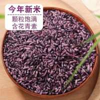 云南特产紫米紫糯米农家自种紫米墨江紫糯米五谷杂粮熬粥稀饭紫米 墨江紫米1斤