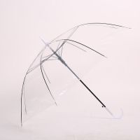 塑料透明雨伞长柄韩式直杆小清新女学生舞蹈儿童绘画创意广告雨伞 透明白