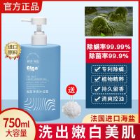 海盐香水沐浴露持久留香去痘除螨氨基酸保湿男女士套装大容量 海盐氨基酸沐浴露【750ML】 明星推荐【99%除螨】沐浴露