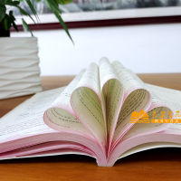 小学生优秀英语作文小学三四五六年级英语作文书小学英语阅读与写作大全英语作文素材大全小学3-6年级上下册通用中英双练小学教