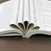 正版 巴黎圣母院 雨果英文原版+中文版 英汉汉英对照互译中英文双语版世界文学名著小说英语原著读物书籍书初中高中大学英语