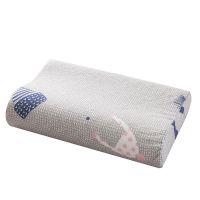 枕头套装颈椎枕头记忆枕单人护颈枕芯加枕套成人颈椎枕头颈椎专用 [50*30cm枕芯加枕套]帽子