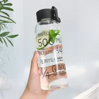 创意透明学生女情侣水杯提绳带盖柠檬随行杯韩国mybottle玻璃杯 500黑色