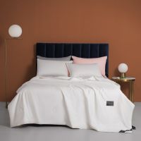 A类被子夏被冰丝夏凉被夏季空调被被芯单人宿舍被双人凉感被薄被 本白[可机洗 不褪色] 150x200cm[冰爽亲肤可裸睡