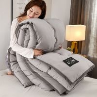 冬天加厚冬被四季通用棉被子冬季双人被子单人学生被芯宿舍被褥 银灰色 150*200cm [3斤春秋被]