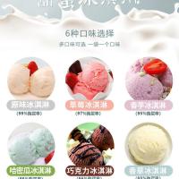 3倍浓缩商用软冰淇淋粉雪糕粉DIY甜筒雪糕冰淇凌奶味冷饮原料 高倍浓缩冰淇淋粉(巧克力味) 500克