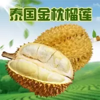 榴莲树苗嫁接新品种南北方种植金枕头榴莲苗四季盆栽地栽当年结果 金枕头榴莲 2年苗[当年不结果]不推荐
