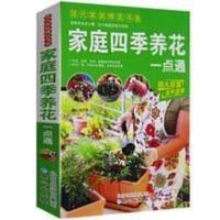 家庭四季养花一点通 养花基础 科普生活类书籍 现代家庭博览书屋 家庭四季养花一点通