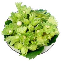 2021年新鲜带绿皮野生的大榛子水仁水瓤坚果山榛子东北特产1斤5斤 新鲜带绿皮大榛子-1斤