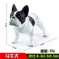 [宠物狗模型]仿真动物玩具狗金毛苏牧圣伯纳杜宾犬男女孩礼物 小斗牛犬