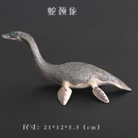 远古海洋猛兽史前生物邓氏鱼蛇颈龙实心模型仿真动物玩具礼物 实心蛇颈龙