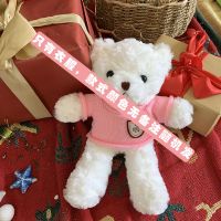 韩国ins治愈系小熊礼盒玩偶泰迪熊毛绒玩具生日情人节礼物送闺蜜 衣服(无备注随机发) 30厘米小熊
