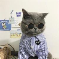 春夏薄款宠物猫咪用品大全狗狗衣服夏装薄款茶杯犬小奶狗衣服夏装 眼镜 S(胸36背24约2-4斤)