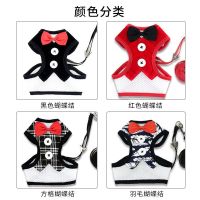 猫咪牵引绳防挣脱遛猫绳猫链子溜猫绳子专用神器猫牵引绳猫咪用品 黑色礼服蝴蝶结 超小型-(建议4斤内用)