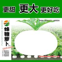 萝卜种子蜂糖萝卜春宝萝卜籽四川春不老圆白萝卜秋季田园蔬菜种子 蜂糖萝卜20克/包【早熟】