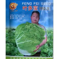 叶多宝188天 大白菜种子18斤南方本地高产春夏秋冬四季蔬菜种子籽 叶多宝(20克) 一包