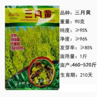 油菜种子杂交油满多高产矮杆耐寒抗倒伏高出油 早熟油菜花种籽孑 三月黄[90克]