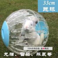 33CM超大号雪貂龙猫跑球滚球松鼠刺猬兔子豚鼠放风玩具 33cm透明球蓝盖子