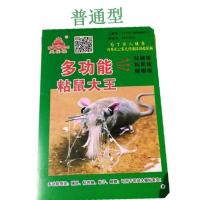 强力粘鼠板老鼠贴灭鼠捉抓大老鼠夹神器沾老鼠胶器家用一窝端 普通款粘鼠板2张