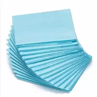 宠物用品宠物尿片狗狗尿垫小狗尿垫加厚一次性隔尿垫 2斤随机装