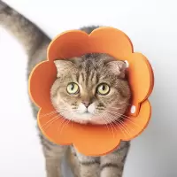 伊丽莎白圈宠物猫咪头罩防舔咬狗狗项圈软圈猫狗脖圈宠物用品 橘色 S码(适用颈围10-18cm)