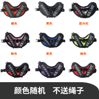 猫咪牵引绳小猫幼猫牵引绳外出遛猫链子猫绳子猫项圈猫咪宠物用品 普通不含绳送字帖【颜色给客服备注】 S-小型