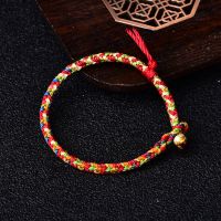 端午节五彩绳手链长命缕长生果手绳儿童婴儿成人通用手工编织脚链 素手绳 11厘米