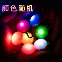 宠物夜间狗狗发光项圈usb可充电脖圈泰迪金毛大中小型犬夜光颈圈 单独发光吊坠(颜色随机) M-适合脖围37-46cm