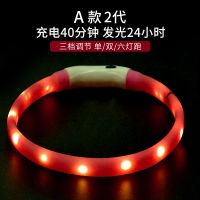 狗狗发光项圈夜光宠物闪光脖圈夜间遛狗防走失小型犬usb充电荧光 A款第二代红色 脖围38cm(可裁剪)小型10斤以下
