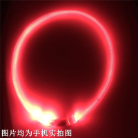 宠物用品可充电狗项圈猫咪狗狗发光项圈泰迪金毛萨摩耶狗夜光项圈 红色(光纤款)最亮 35cm(适合小型犬和猫咪)