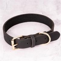 真牛皮大狗狗项圈中型犬牛皮颈圈大型犬脖套金毛德牧阿拉斯加脖圈 黑色 牛皮光面项圈 M-脖围35-48CM
