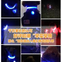狗狗发光项圈猫咪金毛狗脖圈发光脖套泰迪夜间遛狗神器遛狗夜光灯 绿色 M(体重23-28斤)