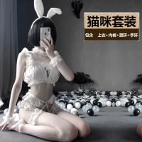情趣内衣性感猫咪兔女郎制服情趣女仆装蕾丝套装情趣睡衣诱惑女 白色项圈+上衣+内裤+手环+腿环 均码(建议体重:80-12