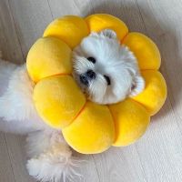 猫咪伊丽莎白圈防舔头套可爱伊利沙耻辱项圈羞狗狗耻脖圈软伊莉莎 向阳花-XS码 [可调节+猫狗通用+狗狗拍大一码]