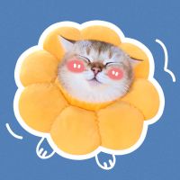 猫咪伊丽莎白圈防舔头套可爱伊利沙耻辱项圈羞狗狗耻脖圈软伊莉莎 棉质太阳花 XS
