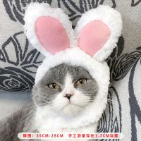 猫咪头套可爱搞怪泰迪狗狗帽子猫猫生日头饰装扮用品宠物搞笑帽子 小白兔帽子