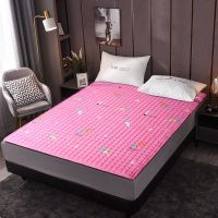 四季床垫保护垫可水洗机洗折叠榻榻米儿童床褥子单双人学生宿舍 庄周梦蝶-粉[双面床垫] 60*CM*110CM儿童床