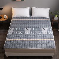 床垫宿舍单人学生0.9米四季通用床褥垫双人1.8米薄布垫1.5m家用垫 网红同款[四季通用]双面布垫 宽0.9米*长1.