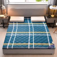 丫娜家纺加厚床垫子家用床褥子榻榻米棕垫折叠学生宿舍儿童软床垫 [升级款抗菌防螨]真爱永恒 60x120 婴儿床垫 高度3