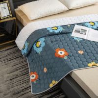 科莎四季通用床垫床护垫榻榻米防滑保护垫床褥子单双人学生宿舍 太阳花 60*120cm