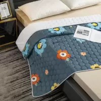科莎四季通用床垫床护垫榻榻米防滑保护垫床褥子单双人学生宿舍 太阳花 60*120cm