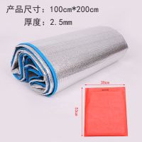 防潮垫宿舍睡垫户外野餐垫子双面铝膜加厚防潮垫便捷帐篷地垫单人 双面铝膜厚2.5毫米 200*100