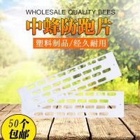 蜜蜂中蜂防跑王片中蜂防逃片蜂箱蜂王防跑片防盗蜂隔王片塑料 50个装