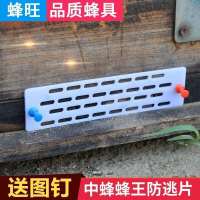 中蜂防跑片防盗器多功能巢门蜜蜂蜂箱防逃框土蜂蜂王防片养蜂工具 普通防跑片(送图钉) 10片装